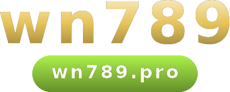 wn789 โลโก้